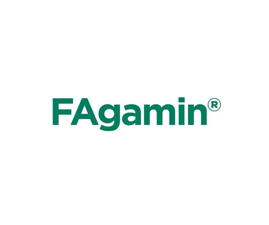 Fagamin